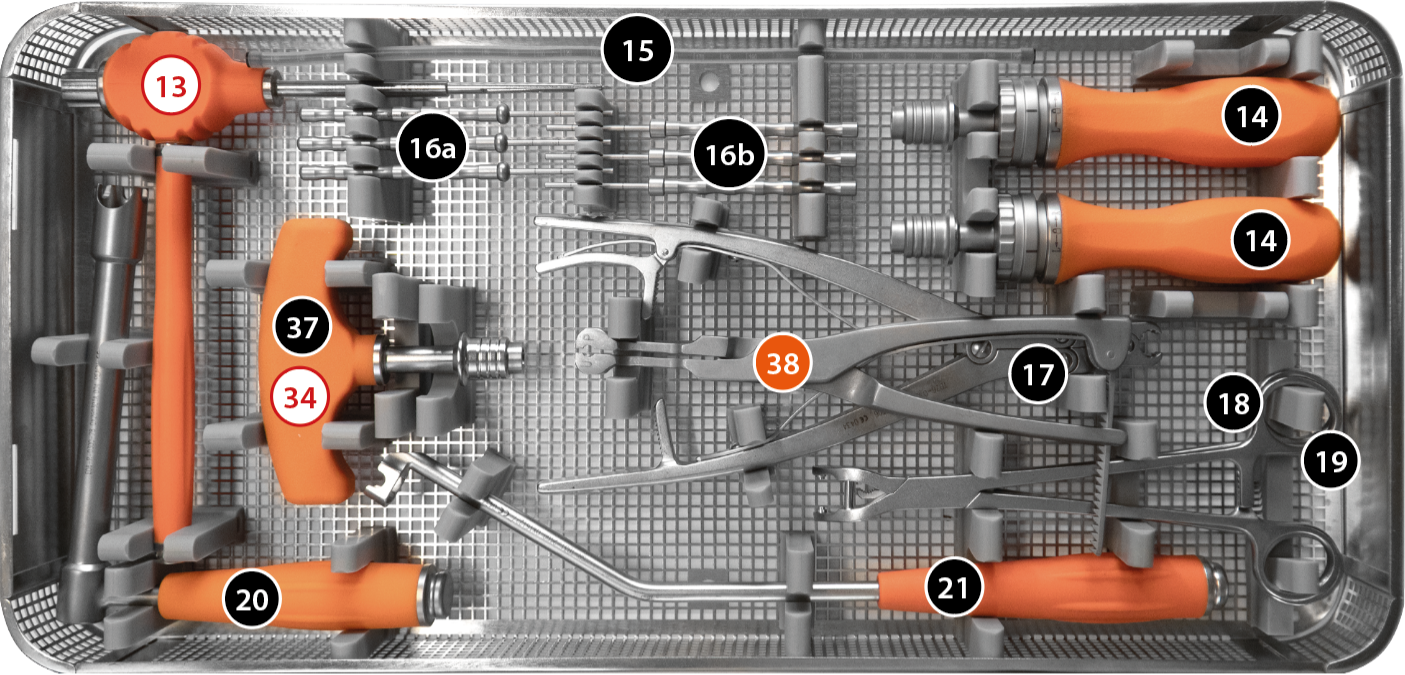 Polyphem Panier B