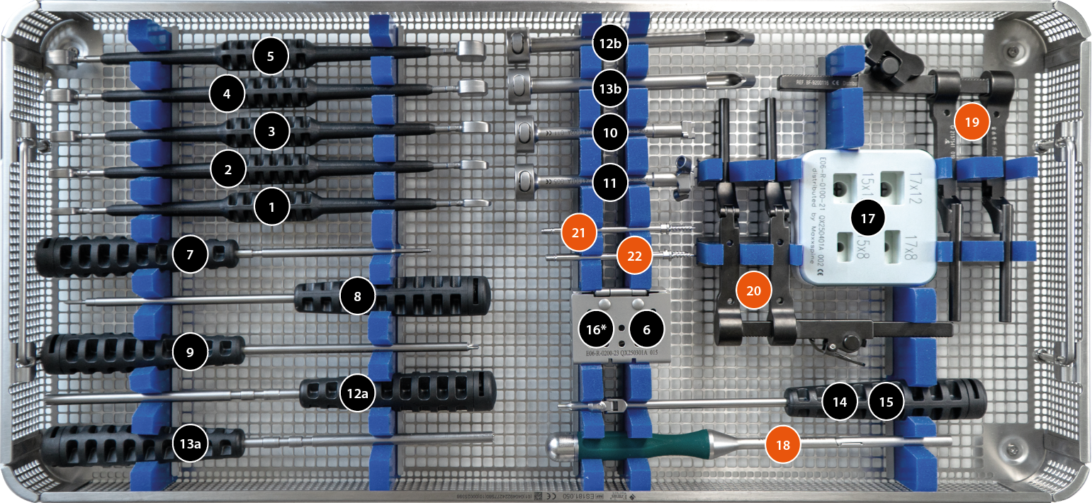 Magnolis Tray Assembly